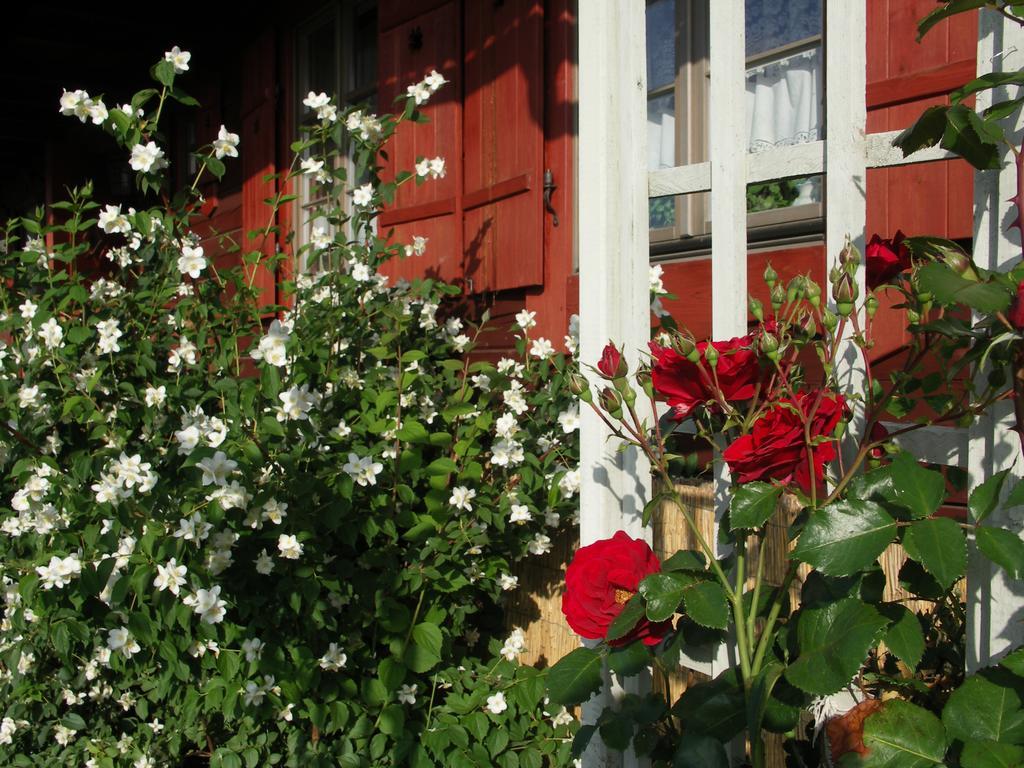Willa Hermanowka Ryn  Exterior foto